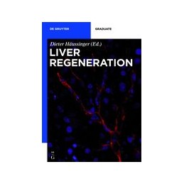 Liver Regeneration