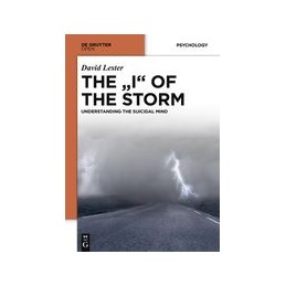 THE "I" OF THE STORM:...