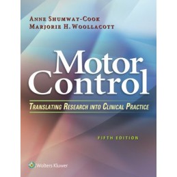 Motor Control: Translating...