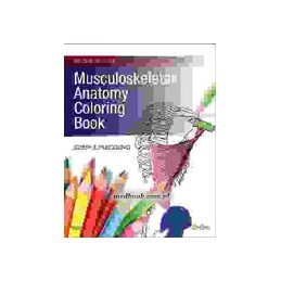 Musculoskeletal Anatomy...