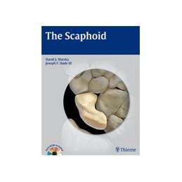 The Scaphoid
