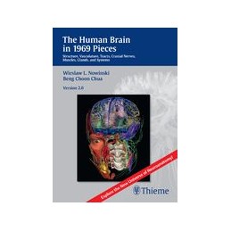 The Human Brain in 1969 Pieces 2.0: Structure, Vasculature, Tracts, Cranial Nerves, Systems, Head Muscles, and Tracts