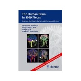 The Human Brain in 1969 Pieces: Structure, Vasculature, Tracts, Cranial Nerves and Systems