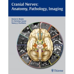 Cranial Nerves: Anatomy,...
