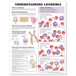 Understanding Leukemia Anatomical Chart