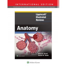 Lippincott® Illustrated Reviews: Anatomy