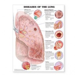 Diseases of the Lung...