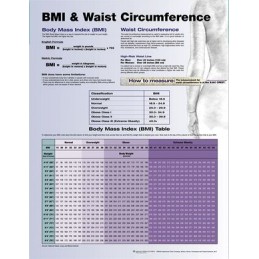 BMI and Waist Circumference
