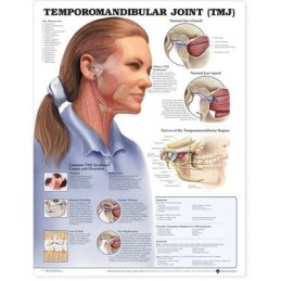 Temporomandibular Joint...