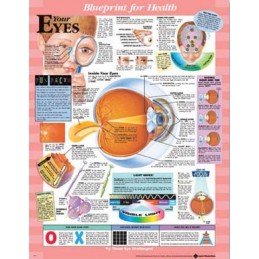Blueprint for Health Your Eyes Chart