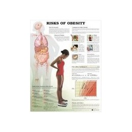 Risks of Obesity Anatomical...