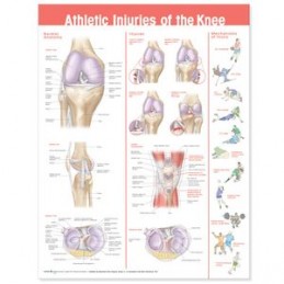 Athletic Injuries of the...