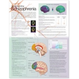 Understanding Schizophrenia...