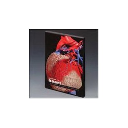 Exploring the Heart: A 3D Overview of Anatomy and Pathology: Published by Primal Pictures Ltd. Exclusive Distribution by Wolters
