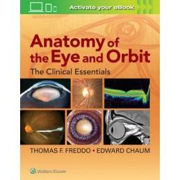 Anatomy of the Eye and...