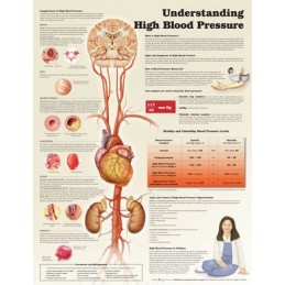 Understanding High Blood...