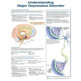 Understanding Major Depressive Disorder
