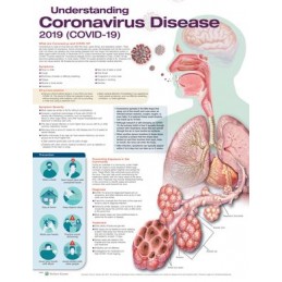 Understanding Coronavirus...