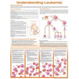 Understanding Leukemia...