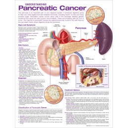 Understanding Pancreatic...