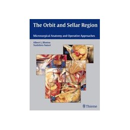 Orbit and Sellar Region