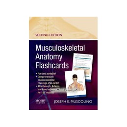 Musculoskeletal Anatomy...