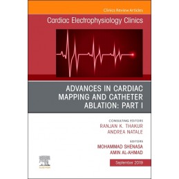 Advances in Cardiac Mapping...