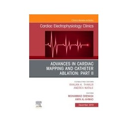 Advances in Cardiac Mapping...