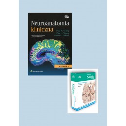 Neuroanatomia kliniczna + Anatomia Sobotta Flashcards - neuroanatomia (angielskie mianownictwo anatomiczne)